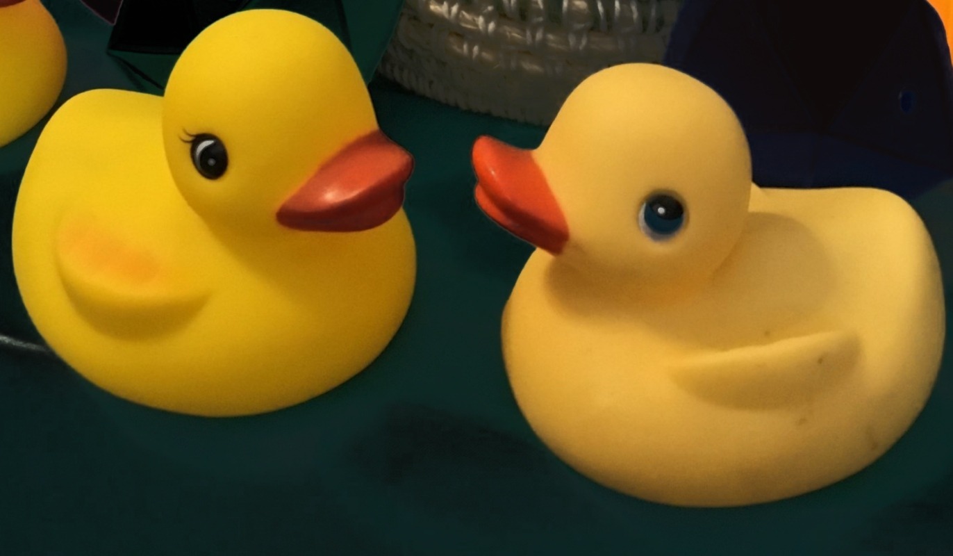 classic rubber duck