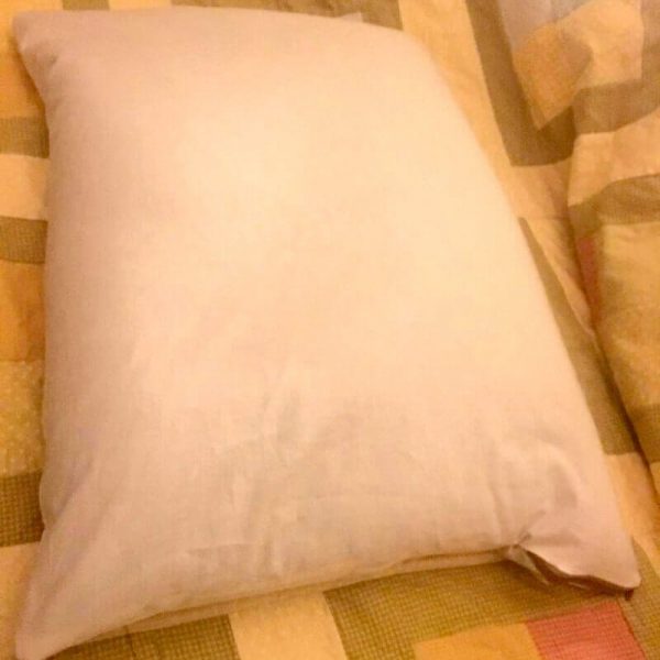 Wonder Buckwheat Hull Pillow